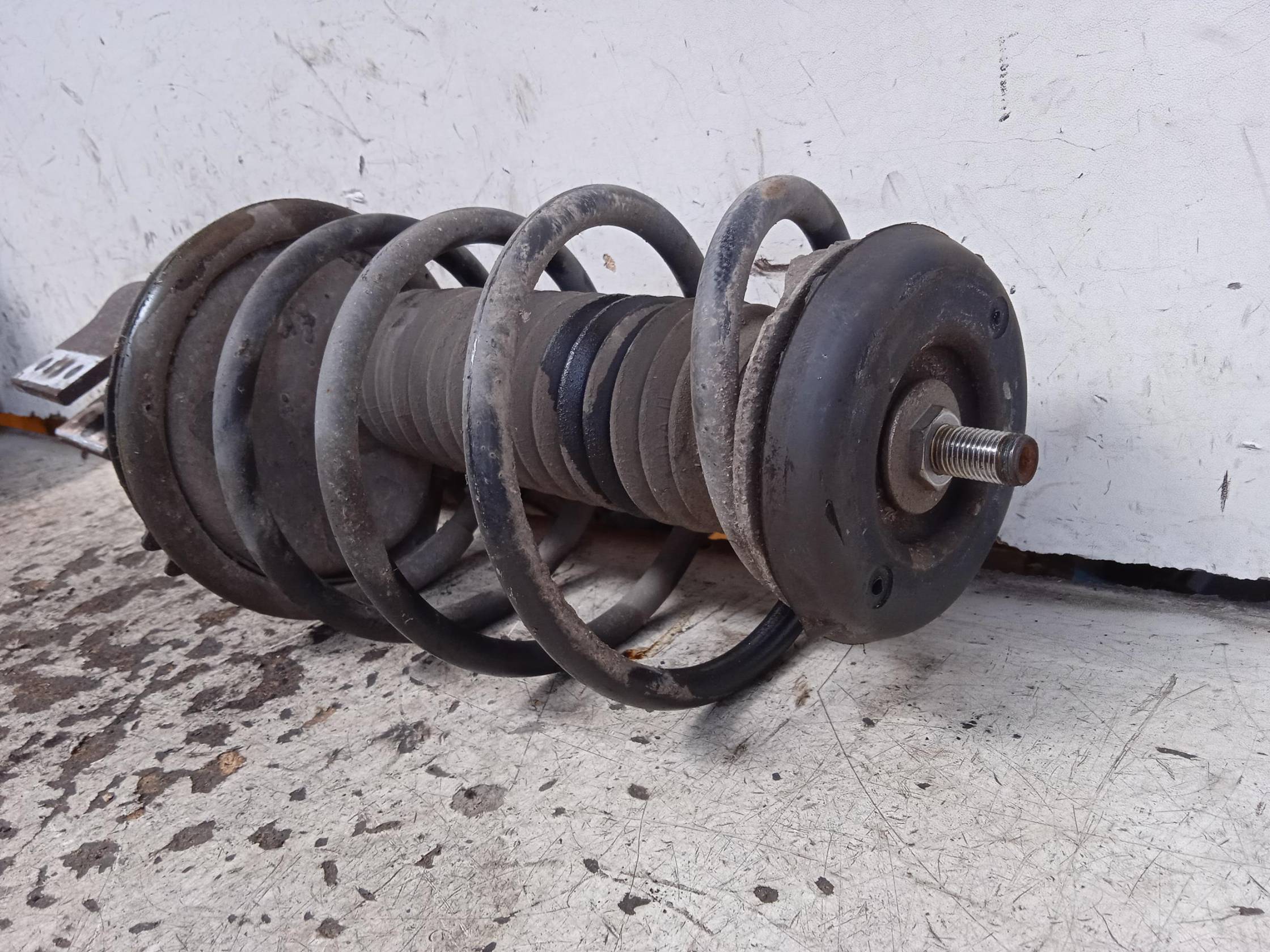 Ammortizzatore ant. sx.